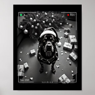 Kerst-Rottweiler betrapt op camera Poster