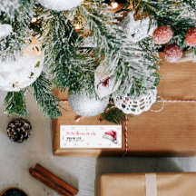 Kerst Santa Baby shower retour adreslabels