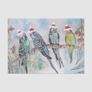 Kerst Santa Budgies Budgerigar Vogel Kaart Tissuepapier