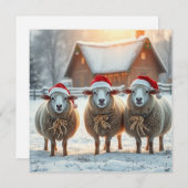 Kerst Schaap Feestdagenkaart (Voorkant / Achterkant)