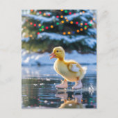 Kerst Schaatsende Eend Briefkaart (Voorkant)