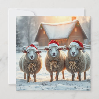 Kerst Schapen Feestdagenkaart