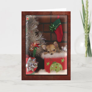 Kerst Schattige Chihuahua puppy in doos Feestdagen Kaart