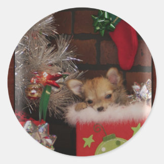 Kerst Schattige Chihuahua puppy in doos Ronde Sticker