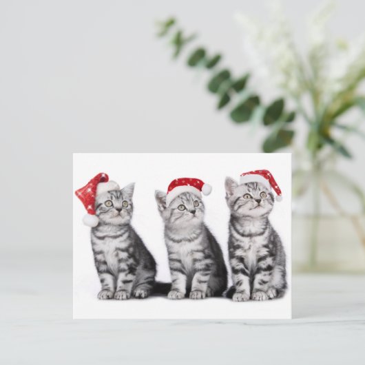 Kerst Schattige Kitten Briefkaart (Staand voorkant)