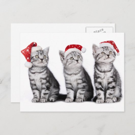 Kerst Schattige Kitten Briefkaart (Voorkant / Achterkant)