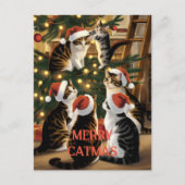  Kerst Schattigee  Katten Briefkaart (Voorkant)