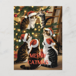  Kerst Schattigee  Katten Briefkaart