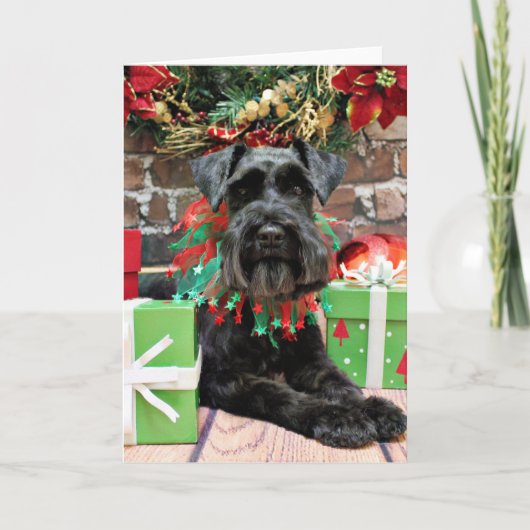 Kerst - Schnauzer - Fergie Feestdagen Kaart (Voorkant)