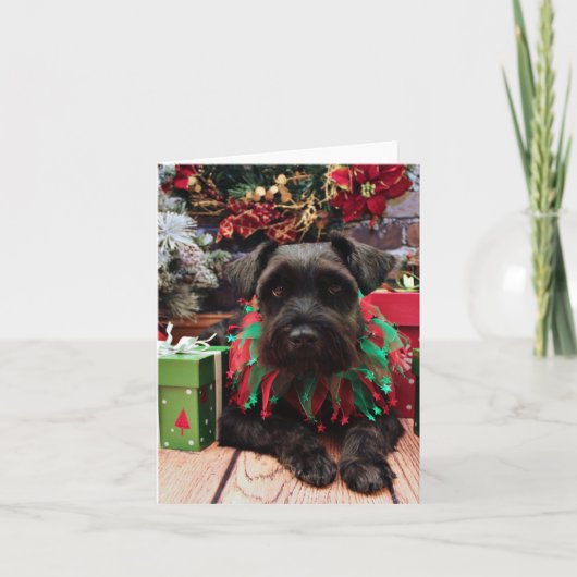 Kerst - Schnauzer Mix - Bentley Feestdagen Kaart (Voorkant)