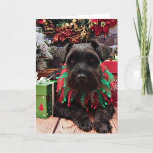 Kerst - Schnauzer Mix - Bentley Feestdagen Kaart (Voorkant)