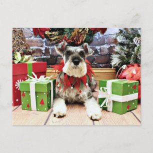 Kerst - Schnauzer - Petunia Feestdagenkaart