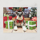 Kerst - Schnauzer - Petunia Feestdagenkaart (Voorkant)