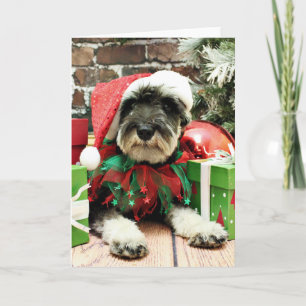 Kerst - Schnauzer - Tom Dooley Feestdagen Kaart