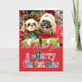 Kerst - Shih Tzu - Earl en Opal Feestdagen Kaart (Voorkant)