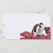 Kerst Shih Tzu Feestdagenkaart (Voorkant)