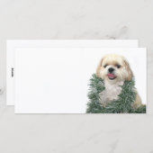 Kerst Shih Tzu Feestdagenkaart (Voorkant / Achterkant)