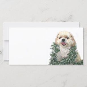 Kerst Shih Tzu Feestdagenkaart