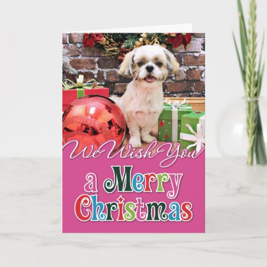 Kerst - Shih Tzu - Marley Feestdagen Kaart (Voorkant)