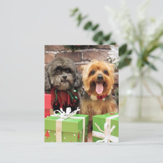 Kerst - Shih Tzu X Maggie - Yorkie Pixie Feestdagenkaart (Staand voorkant)