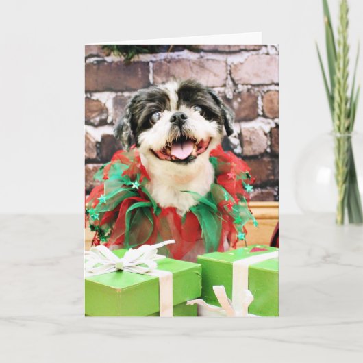 Kerst - Shih Tzu X - Zonnig Feestdagen Kaart (Voorkant)