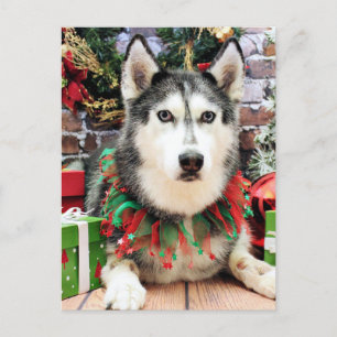Kerst - Siberische Husky - Nika Feestdagenkaart