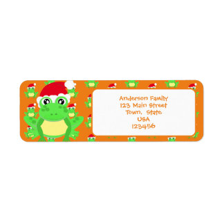 Kerst Sinaasappel Frog Santa Hat Pattern Schattige Etiket