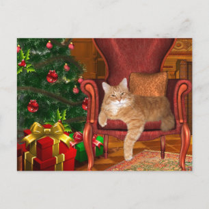 Kerst sinaasappel tabby feestdagenkaart