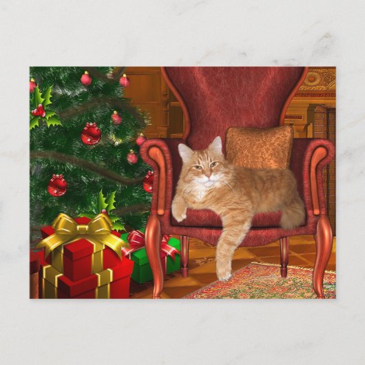 Kerst sinaasappel tabby feestdagenkaart (Voorkant)