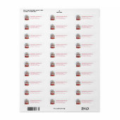 Kerst Sneeuwbol Retouradreslabels Etiket (Full Sheet)