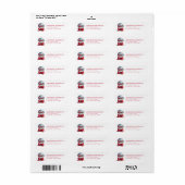 Kerst Sneeuwbol Retouradreslabels Etiket (Full Sheet)