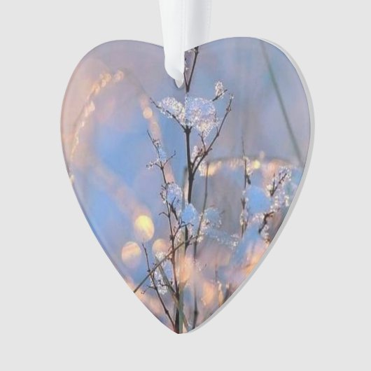 Kerst-sparend Ornament (voorkant)