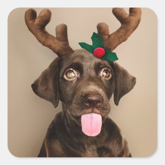KERST STICKERS CHOCOLAAT LAB W/REINDEER HORNS (Voorkant)
