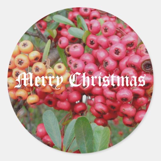 Kerst stickers van rode bessen (Voorkant)