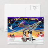 Kerst Sunrise Border Collies (2 bruin) Feestdagenkaart (Voorkant / Achterkant)