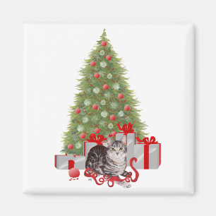 Kerst Tabby bij de Boom Magneet