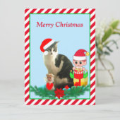 Kerst Tabby Lapjeskat, Engel & Schattige Elf op Ro (Staand voorkant)
