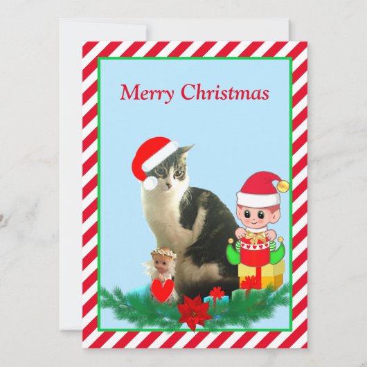 Kerst Tabby Lapjeskat, Engel & Schattige Elf op Ro (Voorkant)
