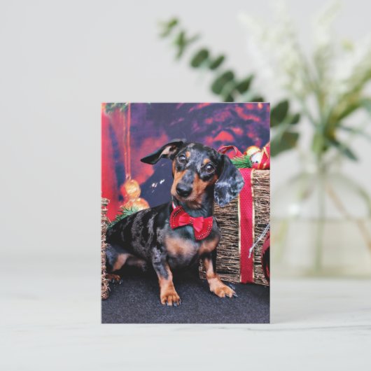 Kerst - Teckel - Buddy Feestdagenkaart (Staand voorkant)