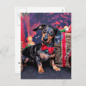 Kerst - Teckel - Buddy Feestdagenkaart (Voorkant / Achterkant)