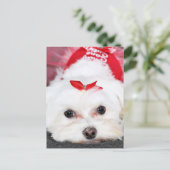 Kerst - Tinkerbell - Maltees Feestdagenkaart (Staand voorkant)