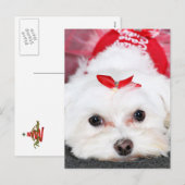 Kerst - Tinkerbell - Maltees Feestdagenkaart (Voorkant / Achterkant)