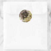 Kerst Tinsel Kat Stickers (Tas)