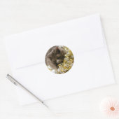 Kerst Tinsel Kat Stickers (Envelop)