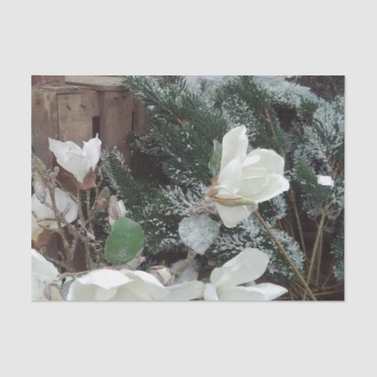 kerst tissuepapier (Voorkant)