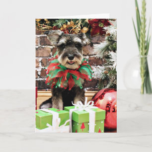 Kerst - Tom Dooley - Schnauzer #2 Feestdagen Kaart