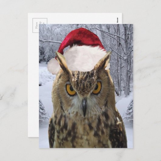 Kerst uil vogel in een Santa Hat Feestdagenkaart (Voorkant / Achterkant)