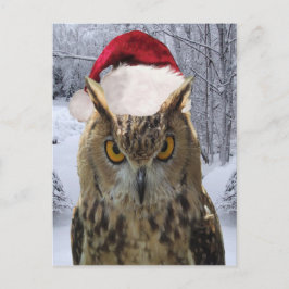 Kerst uil vogel in een Santa Hat Feestdagenkaart
