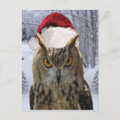 Kerst uil vogel in een Santa Hat Feestdagenkaart (Voorkant)