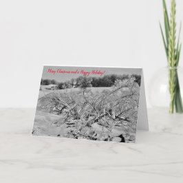 Kerst & Vakantie Kaart - Fallen Tree w/Snow